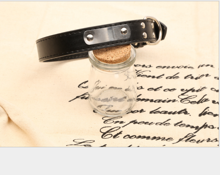 Personalized Dog Collar - Pet Accessories