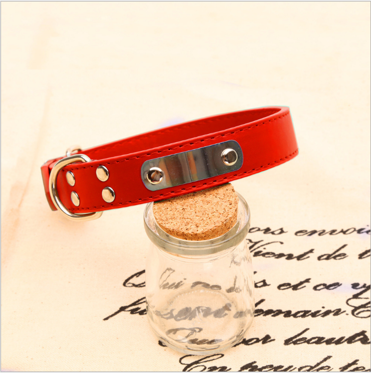 Personalized Dog Collar - Pet Accessories