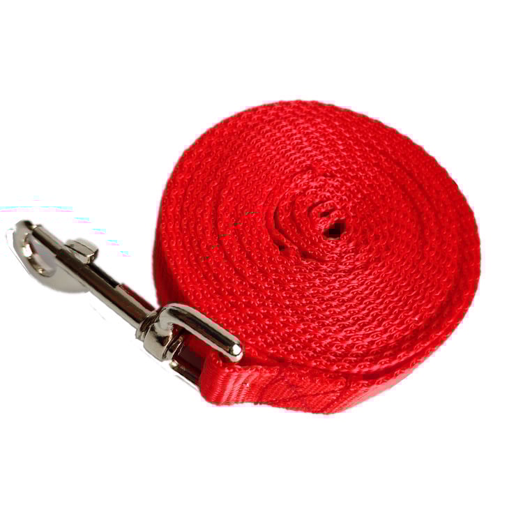 2.5CM Wide Long Dog Rope Leash
