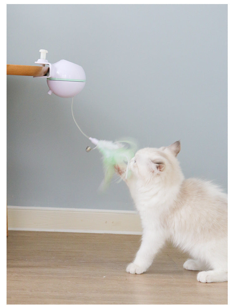 Pet Toy Ball with USB Electric Teaser Wand (Replaceable)